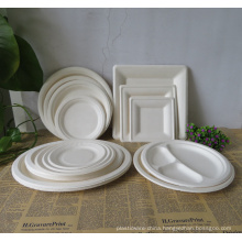 Biodegradable Disposable Sugarcane Bagasse Plate Dishes